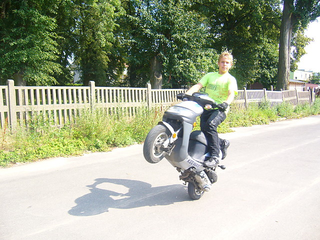 Wpis bulastunt
