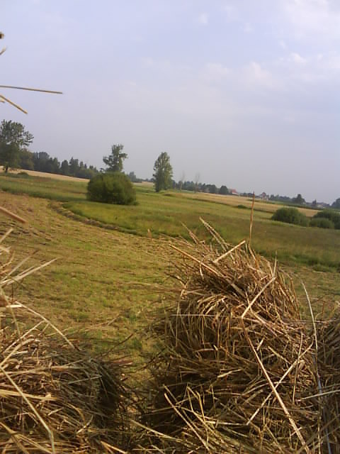 Wpis kptpolko