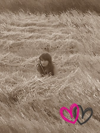 W sianie.