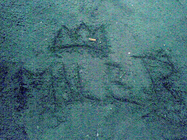 Wpis lovelas92