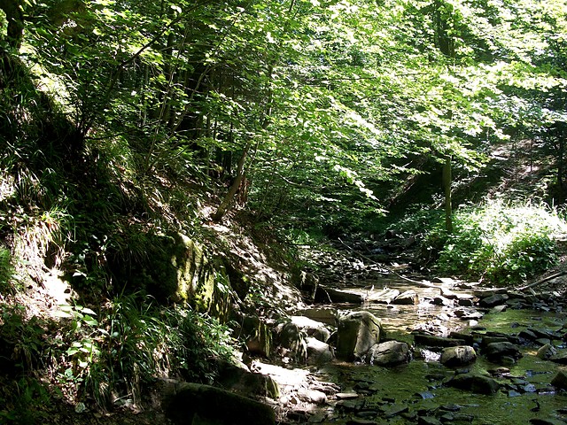 Bieszczady
