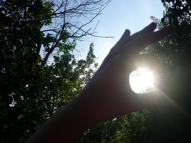 Wpis xxdreamsladyxx