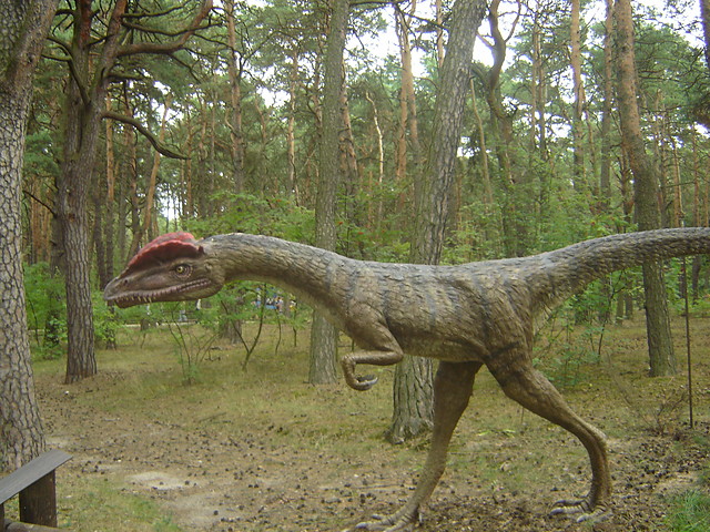 urlopik c.d