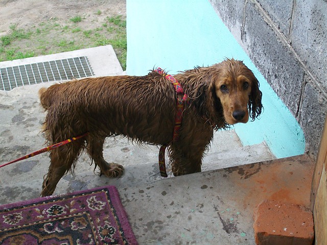 Fiona .. :(