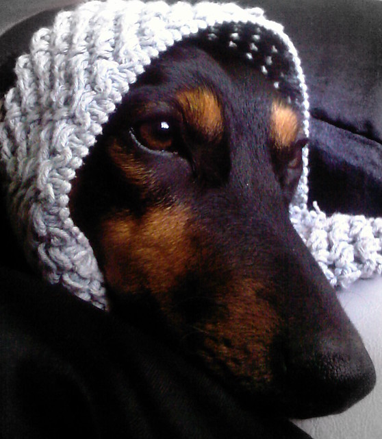 Krlowa w koronie ;) 