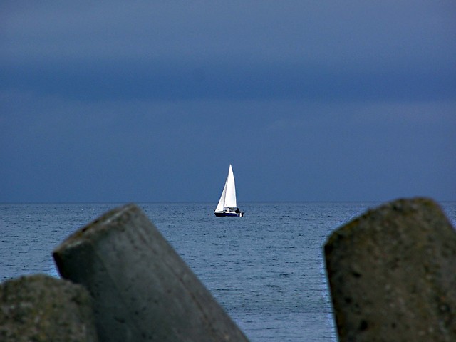 Samotnik