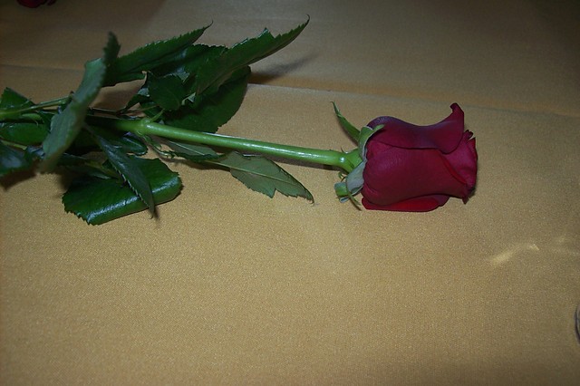 Roza:*
