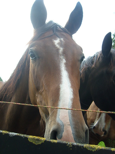 Luna..;D;***