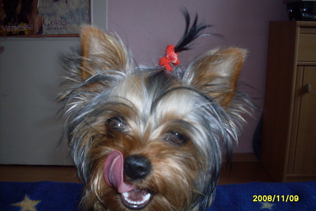 Moja=*