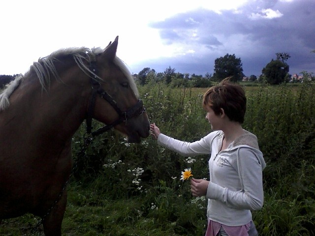 Konik :P
