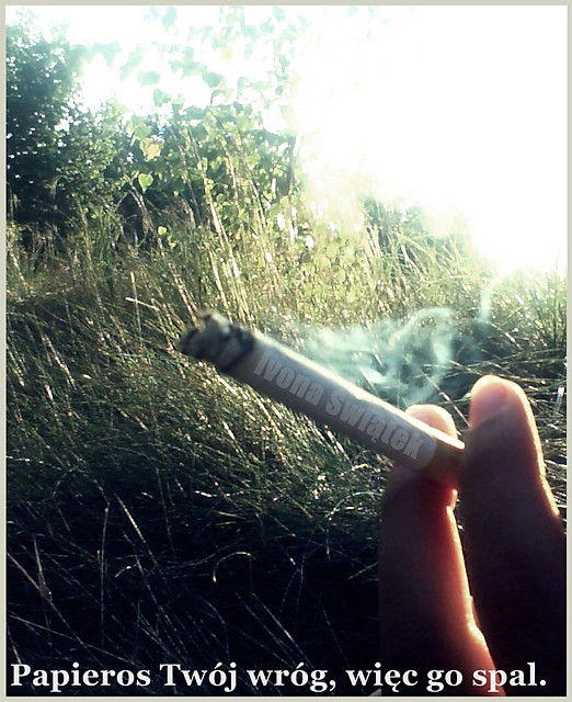 Wpis oxoiwaoxo