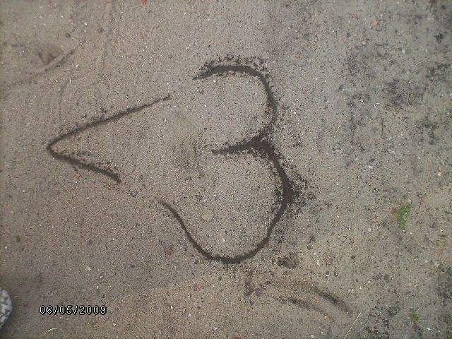 Wpis bl00nddyynaa