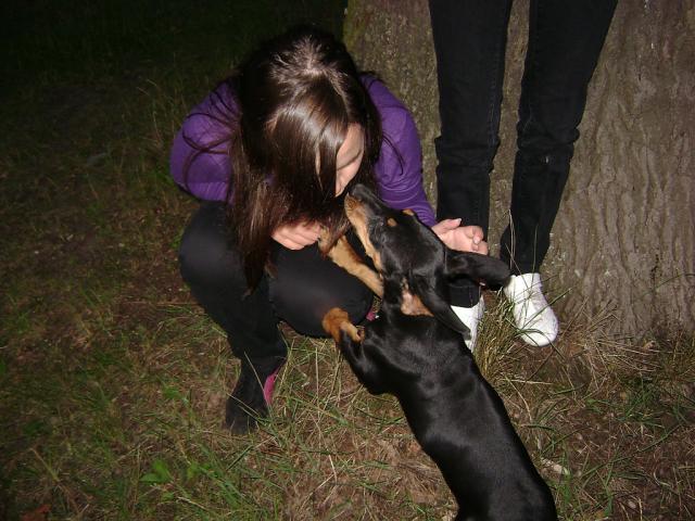 . z Zok . ;p