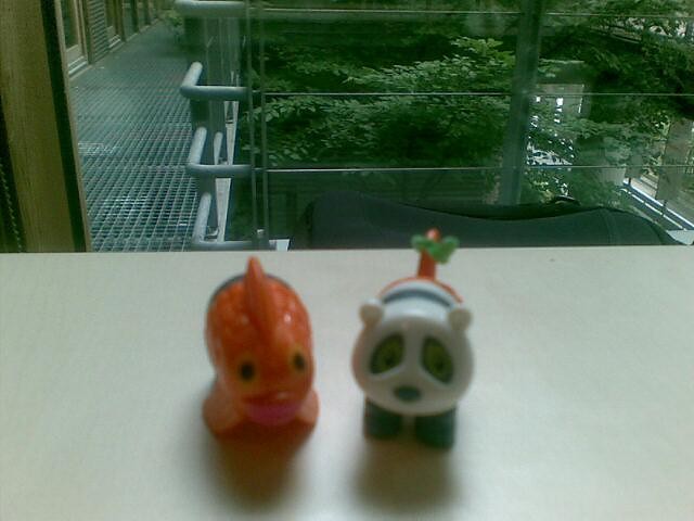 panda&fishie