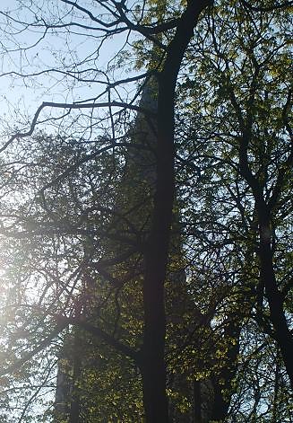 Park wczesn wiosn