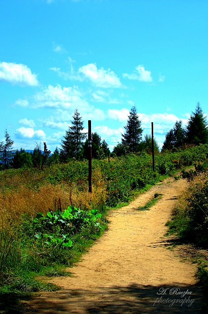 Bieszczady