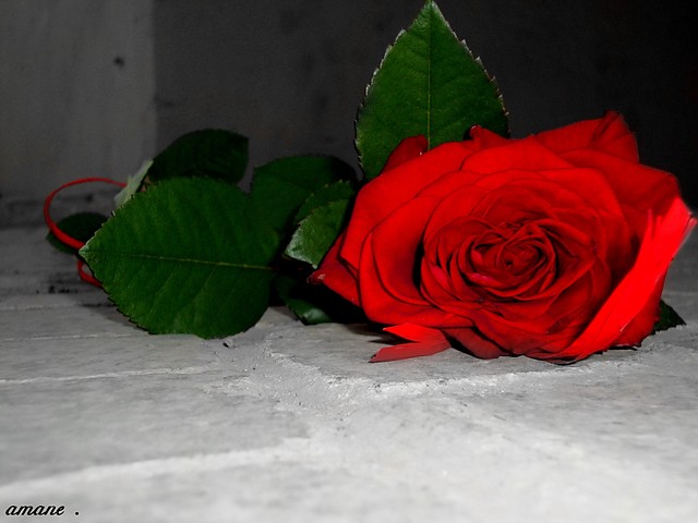` a gdy bdziesz daleko ...