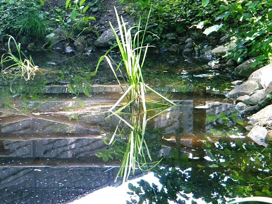 natura...