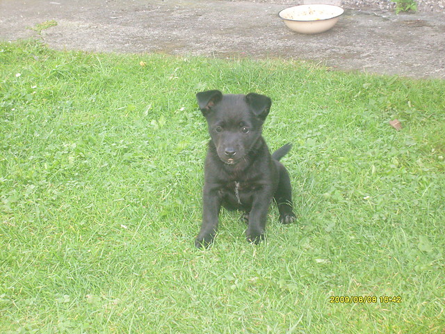 Wpis sabina001balba