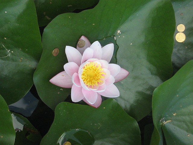 Wpis edytka001