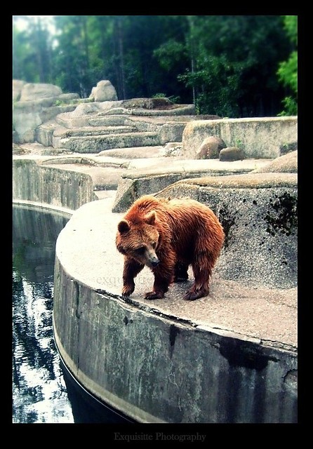 May Mi : )  Warszawskie ZOO 