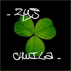 Wpis grzesio16