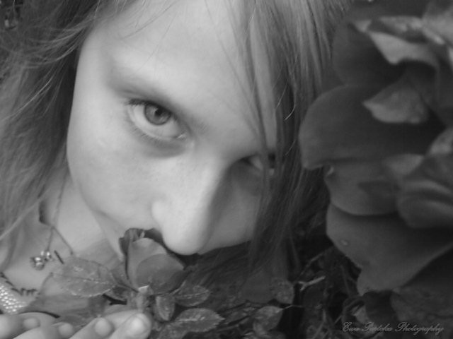 Wpis lovebutterfly