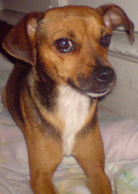 KAJLA