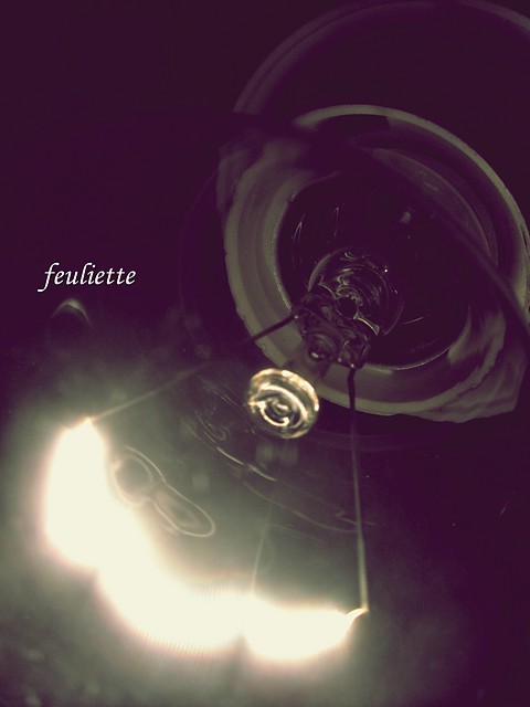Wpis feuliette