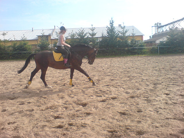 Wpis mistrzuuuu
