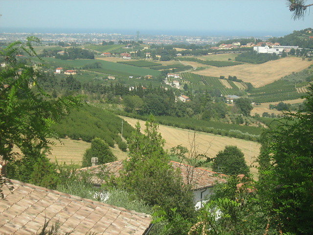 Wpis koteczka97