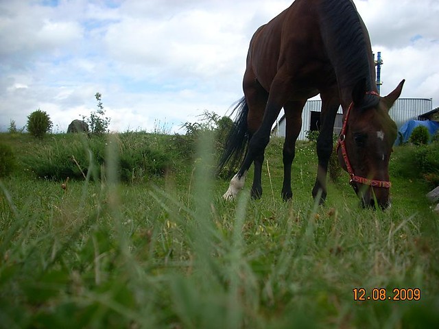 Gary :)