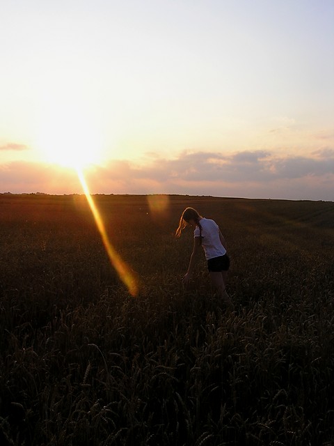 buszujca w zbou