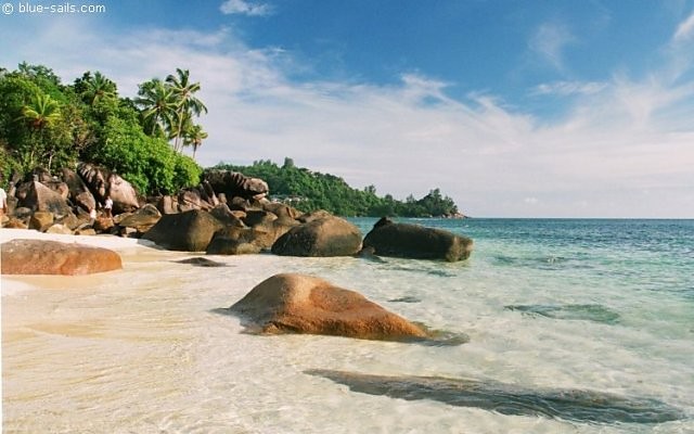 Mega Beach Party 09'