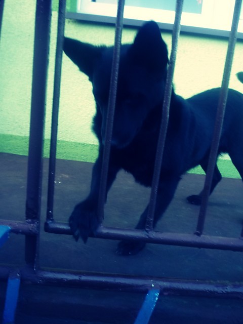 Krecikk..;p