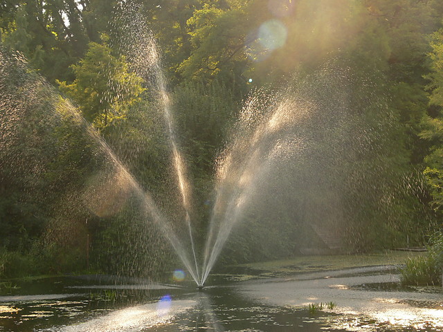 Fontanna w Arboretum...