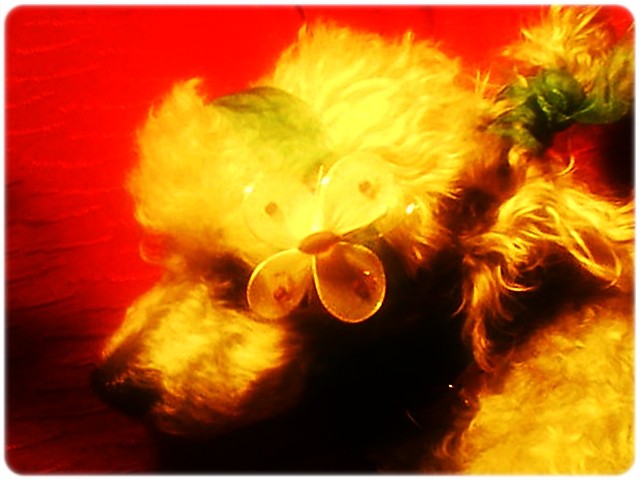 Oskar ! .