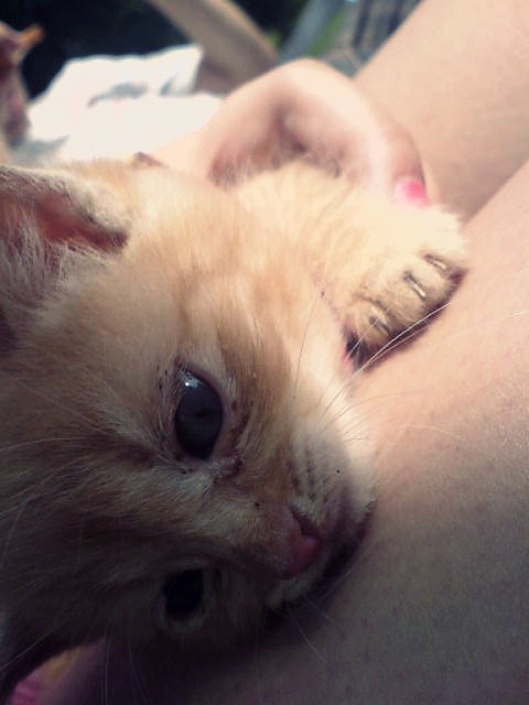 Wpis mylenkamisiaaa
