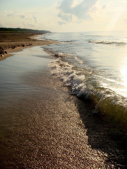 morzee.