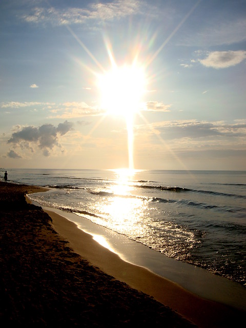 morzee.