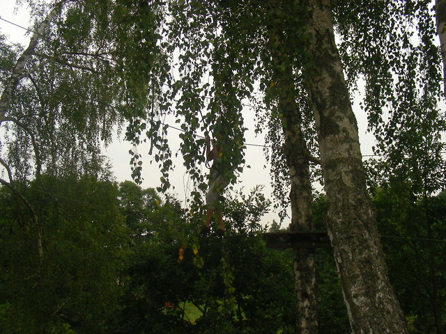 Wpis myszkaaa13