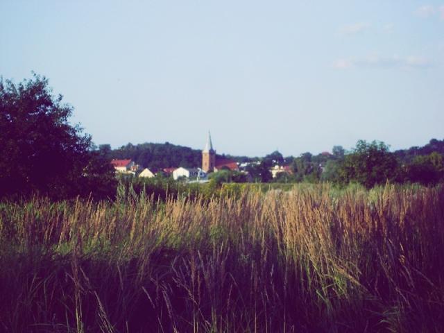 czarnkw ; ] 