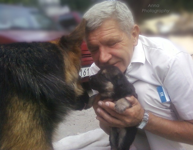 Wpis myanimalsinthecity