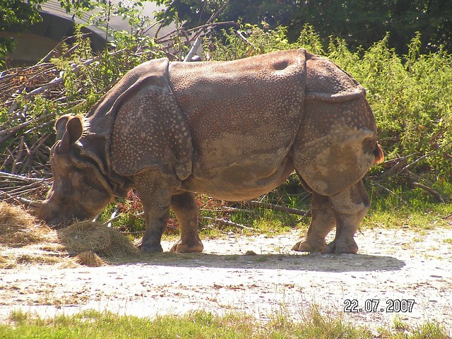 Troch zway z zoo