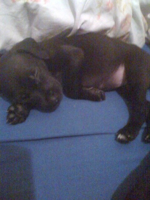 maluch ;*