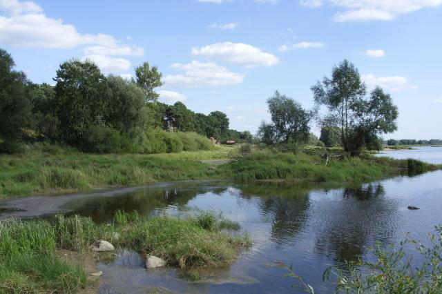 Widok zieleni