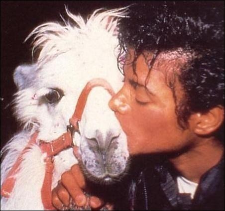kiss .; dd
