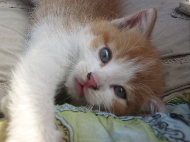 Frania :)