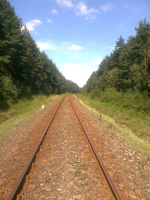 Wpis maliiina