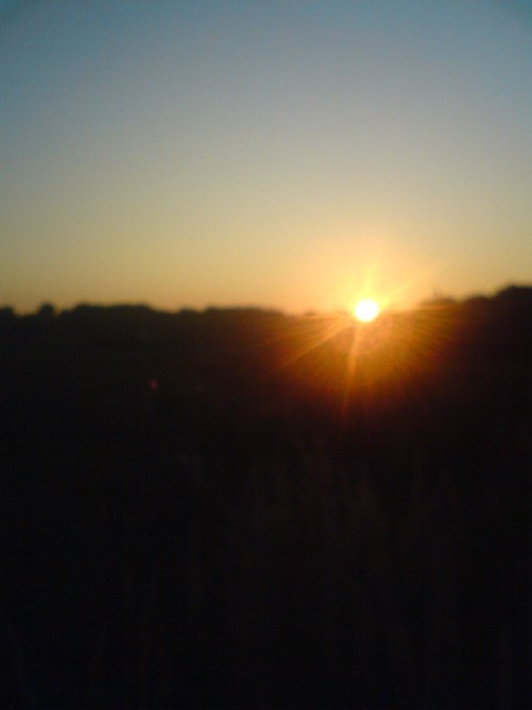a mio co to w ogle jest?